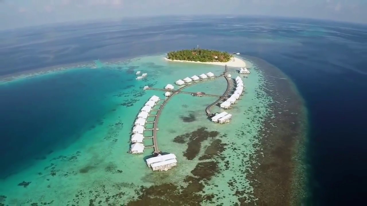 Placeholder Project 21